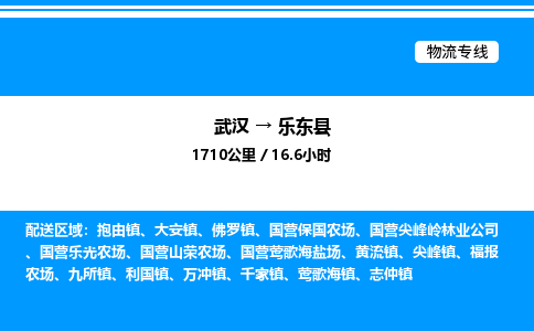 武漢到樂東縣物流專線-武漢至樂東縣貨運(yùn)公司